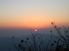 -江西阳明山国家森林公园