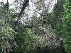 -函谷关历史文化旅游区