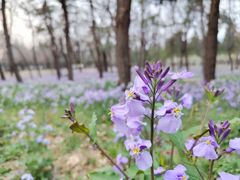 -北京大学(昌平校区)
