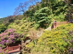 -广州市石门国家森林公园