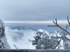 -张家界天门山国家森林公园