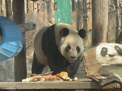 -大连森林动物园