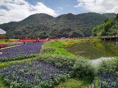 -广州市石门国家森林公园
