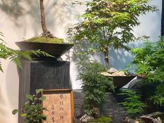 -自由生长植物工作室(深港花卉中心店)