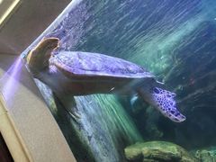 -上海动物园(地铁站)