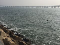 -星海湾跨海大桥