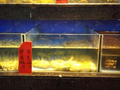 -肥仔顺德菜(龙悦居店)