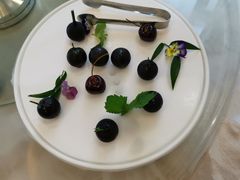 -食神鱼头佛跳墙(百子湾旗舰店)