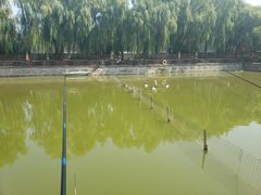 -尚庄度假村·庭台树下·户外烧烤·团建CS·轰趴营地(上庄水库店)