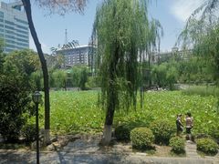 -莲湖公园