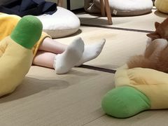 -逗柴咖啡屋·狗咖猫咖宠物桌游