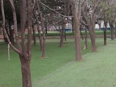 -尚庄度假村·庭台树下·户外烧烤·团建CS·轰趴营地(上庄水库店)