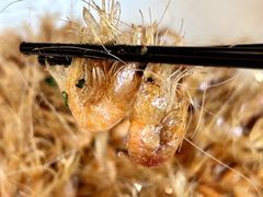 -狮王府淮扬菜(夫子庙老门东店)