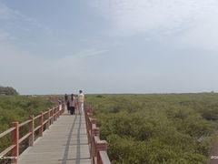 -北海金海湾红树林生态旅游区