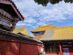 -大召无量寺