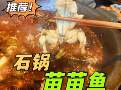 -石锅苗苗鱼(武汉首店)