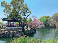 -无锡蠡湖国家湿地公园-蠡园