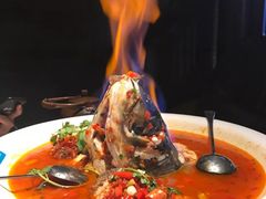 -坛宗剁椒鱼头(河西王府井店)