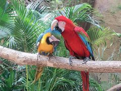 -杭州开元森泊度假乐园