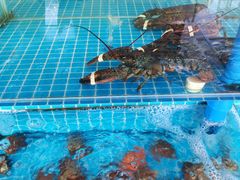 -必点蒸汽海鲜(止锚湾店)