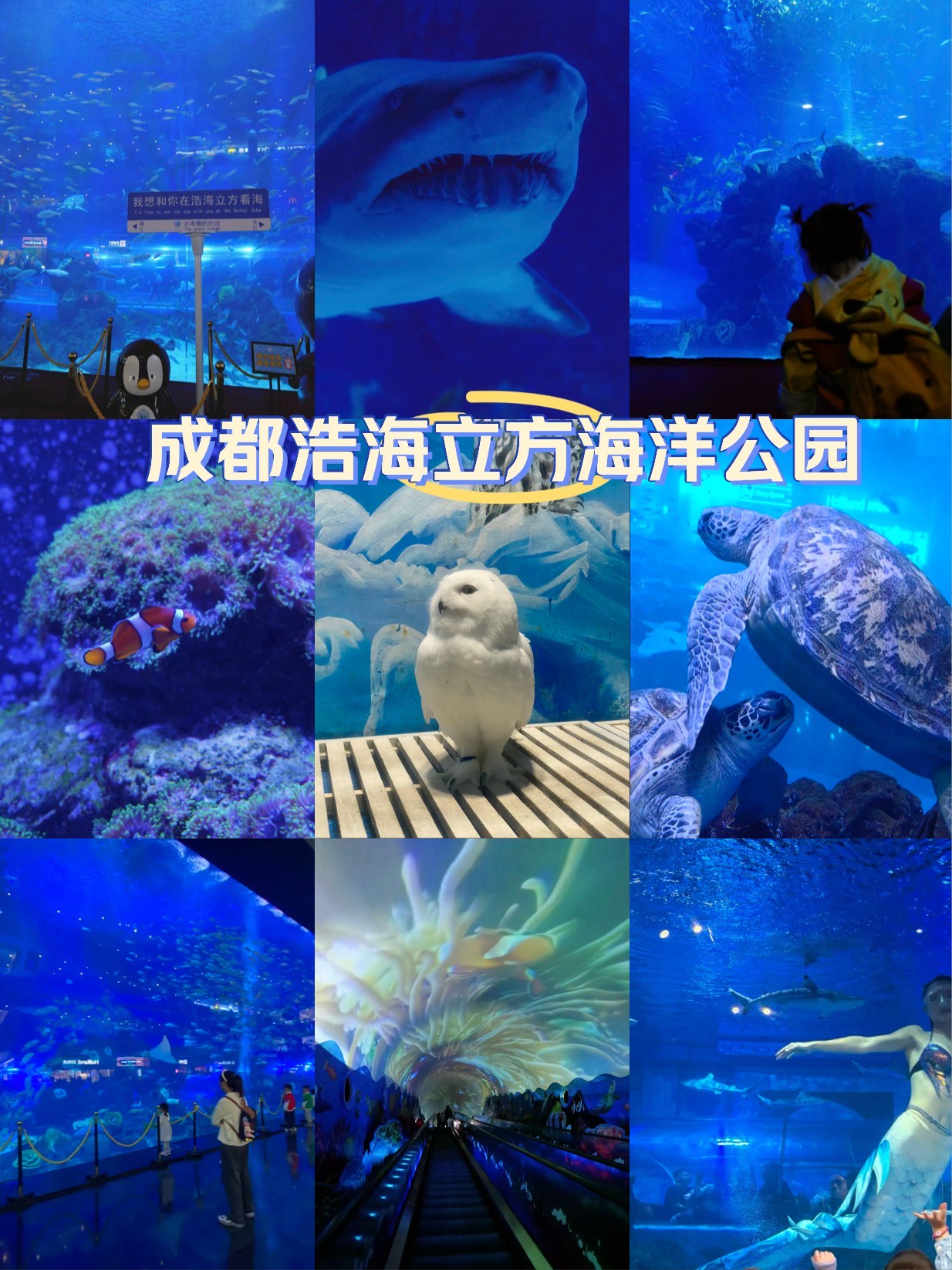 成都海底公园图片