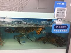 -盒马鲜生(大成店)