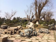 iphone_upload_pic-中国唐苑