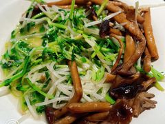 山珍翡翠苗-新大咀港式茶餐厅(宝山万达店)