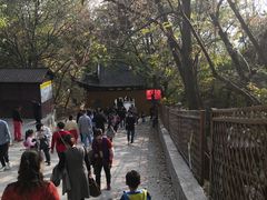 -灵岩山风景区