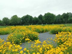 -汉长安城未央宫国家考古遗址公园