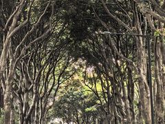 -厦门悦华酒店