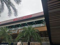 -禧鳳記·猪肚鸡火锅(玖洲道店)