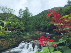 -马峦山郊野公园