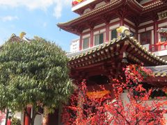 -新加坡佛牙寺龙华院