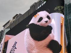 -合景·悠方(成都店)