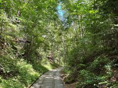 -五营红松林海景区