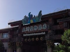 -南宫五洲植物乐园