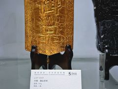 -凤凰中心