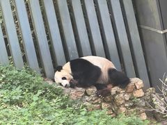 -黔灵山公园