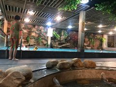 -御池园(顾村公园店)