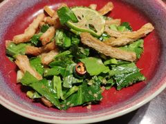 香捞木耳炸豆皮-粤·向群饭店(麓景路店)