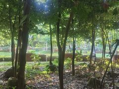 -田心森林公园