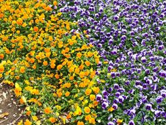 -常州古运河南大街文化旅游区-人民公园