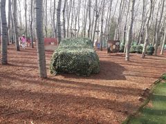 -朝阳公园游乐园