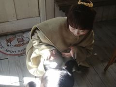 -海边的猫和咖啡馆
