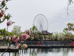 -无锡蠡湖国家湿地公园-蠡园