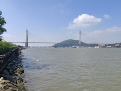 -芒洲湿地公园