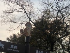 -合肥野生动物园