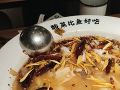 -太二酸菜鱼(正大广场店)