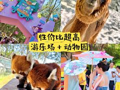 -水上乐园·欢乐世界